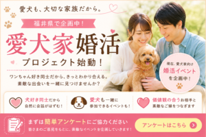 投稿についてもっと詳しく こんな出逢いがあったらいいな💕
